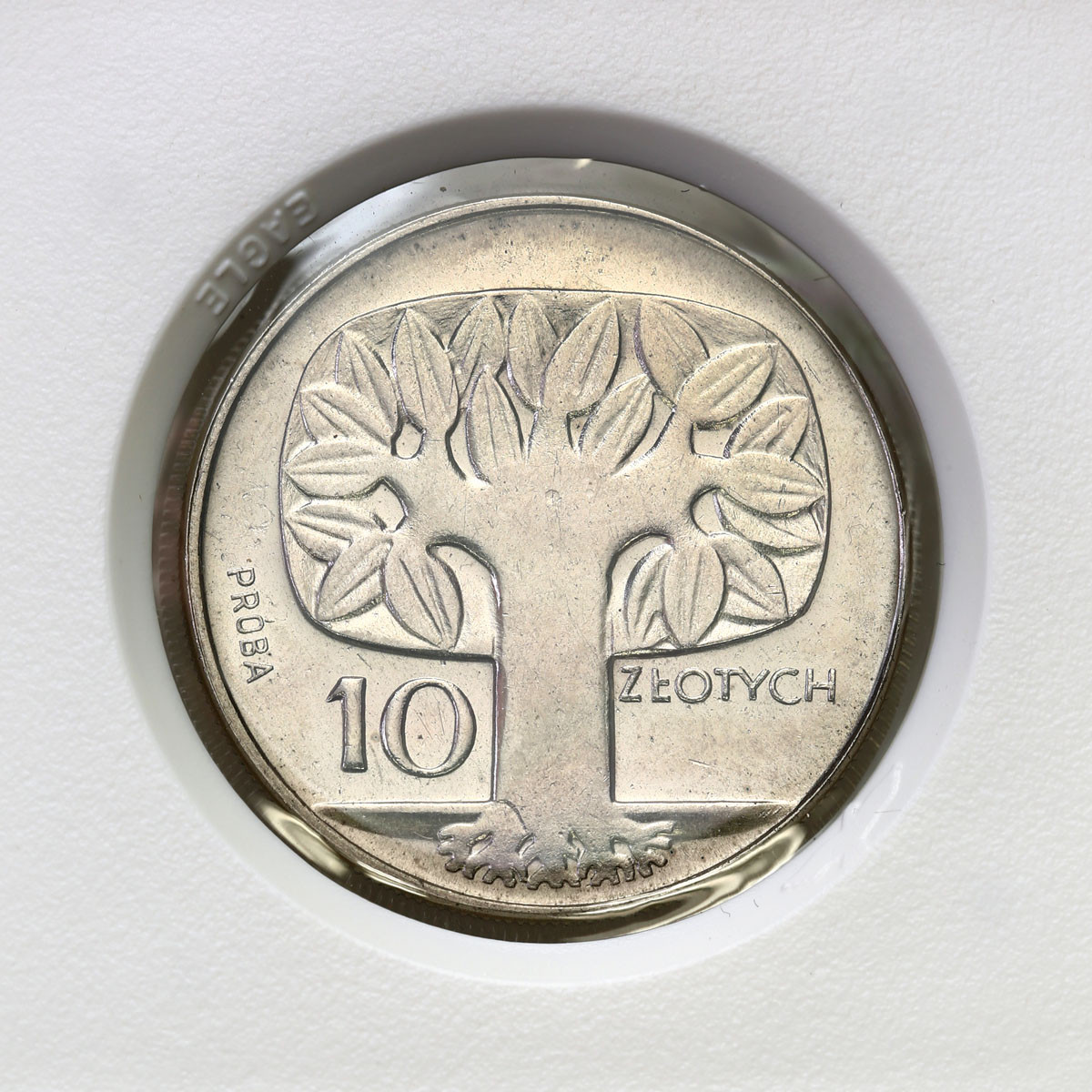 PRL. PRÓBA Nikiel 10 złotych 1964 – drzewo